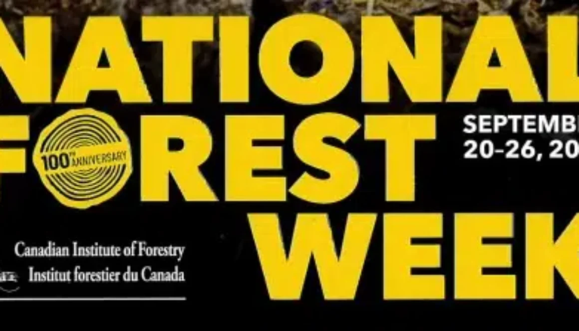 nfwposter