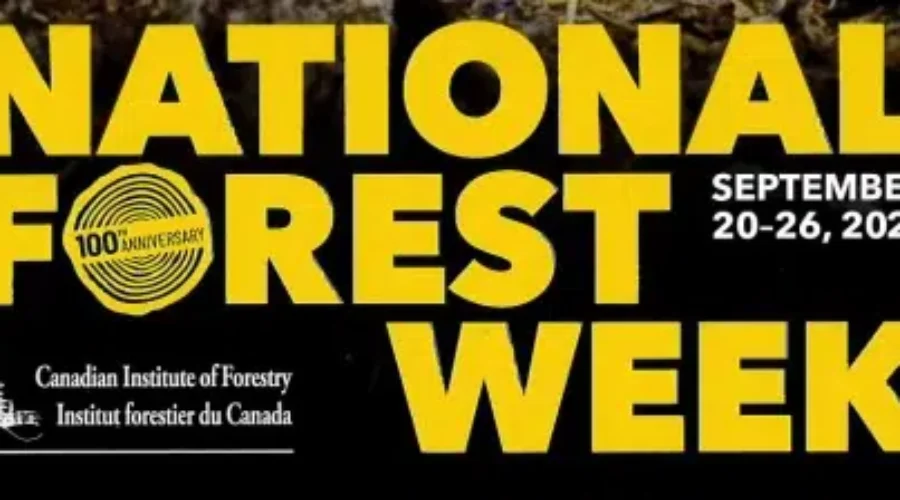 nfwposter Domtar Celebrating National Forest Week
