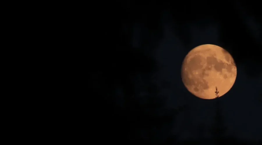 Dyment Moon