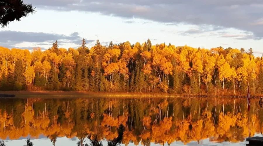 Reflections On Eagle Lake