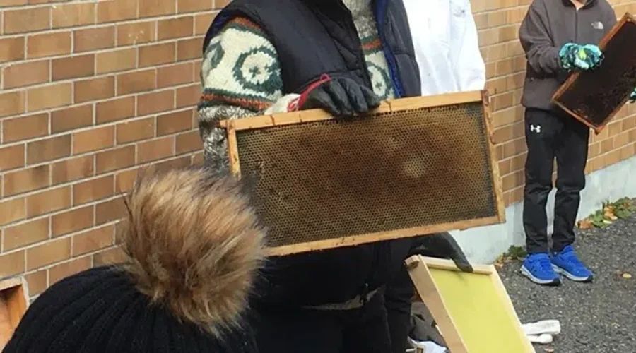 beeken-1 Dryden Appreciating Honey Bee With Declaration