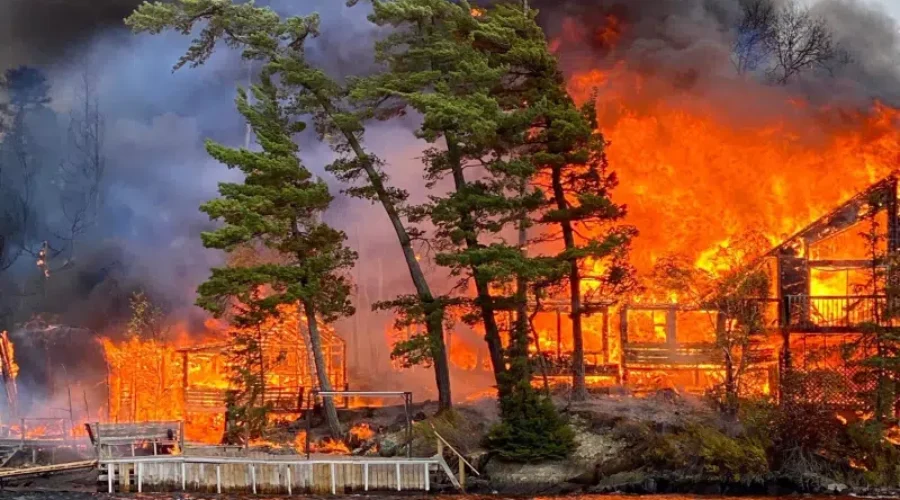 leisure-island-fire-800x450-1-1 One Active Forest Fire In Region