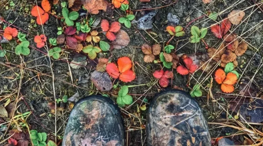 A Hunting Adventure Capture