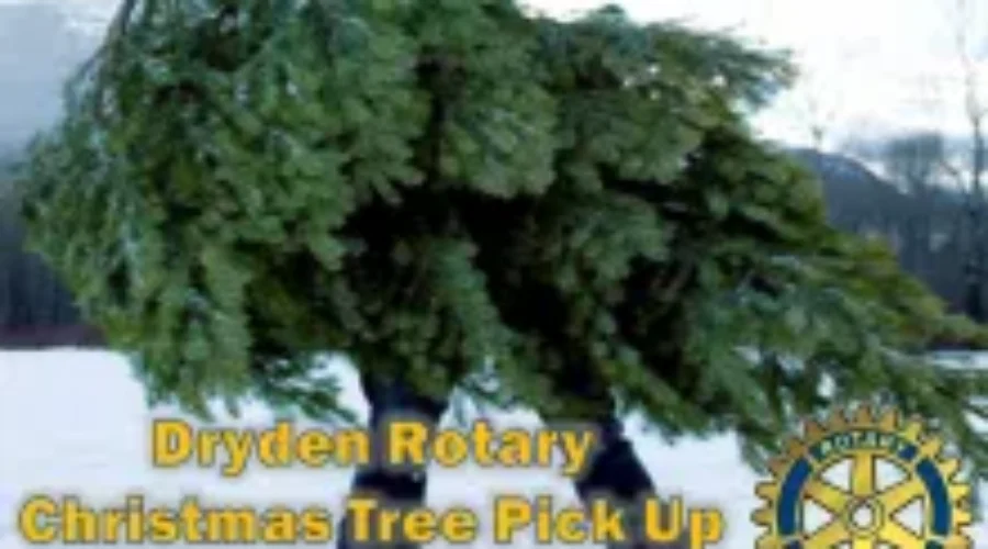 Rotary-Tree-Pick-Up 2021 Dryden Rotary Christmas Tree Pick-Up
