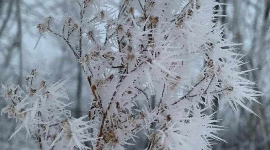 Mother Nature’s Magic