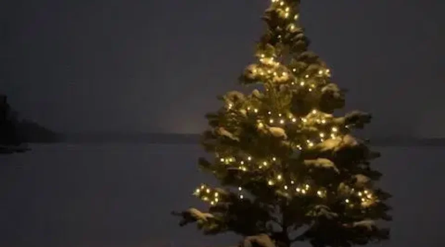 Silent Night