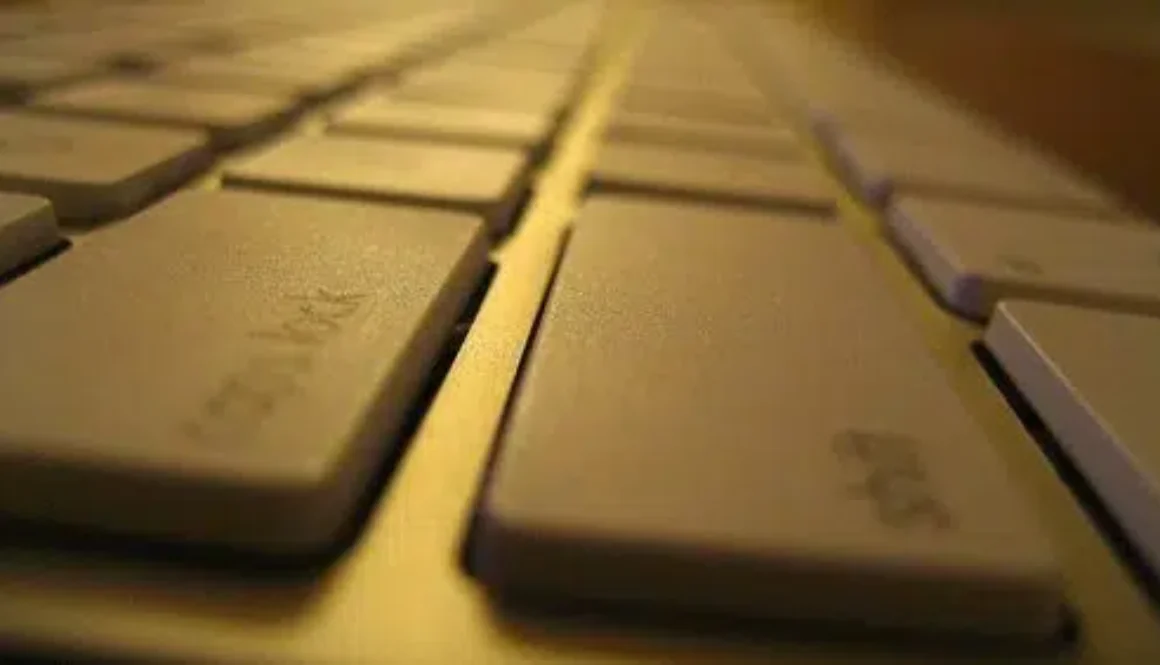 1384073790_6436c636da-e1554923795383