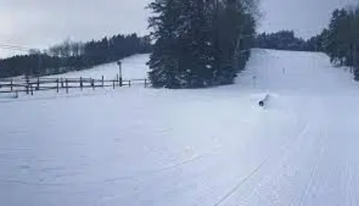 dryski