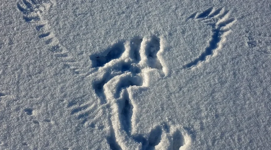 Leaving A Mark