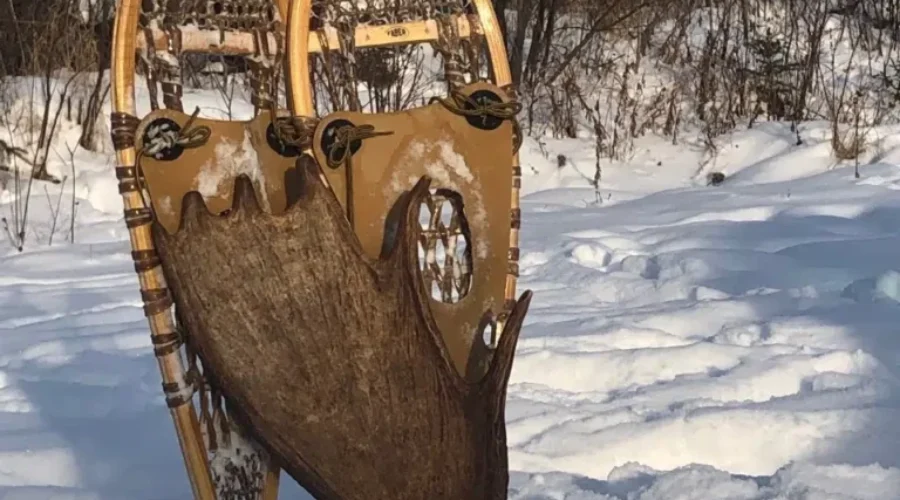 Snowshoeing &amp; Shed Hunting