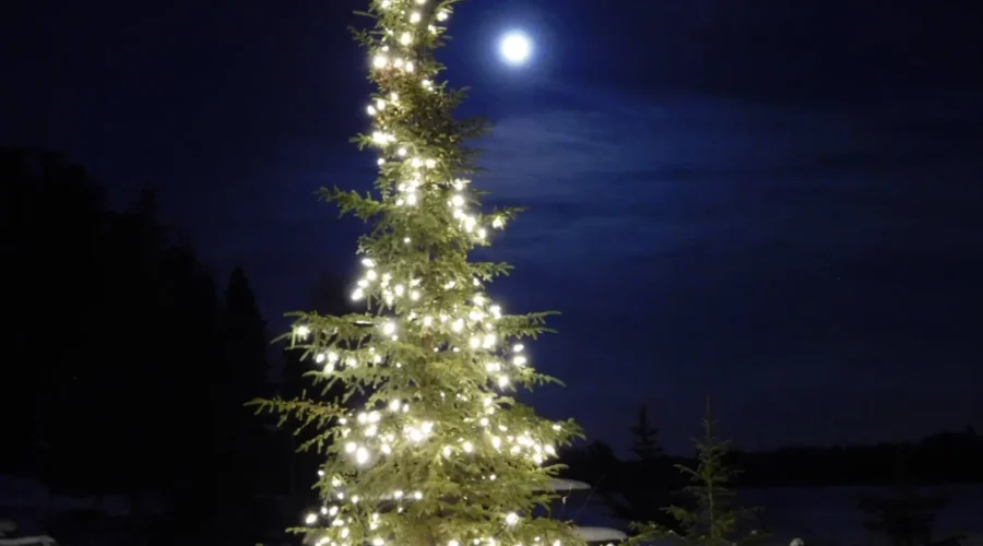 wabigoon-lake-in-the-background-and-full-moon-photo-by-gord-gould-scaled-2 Light It Up