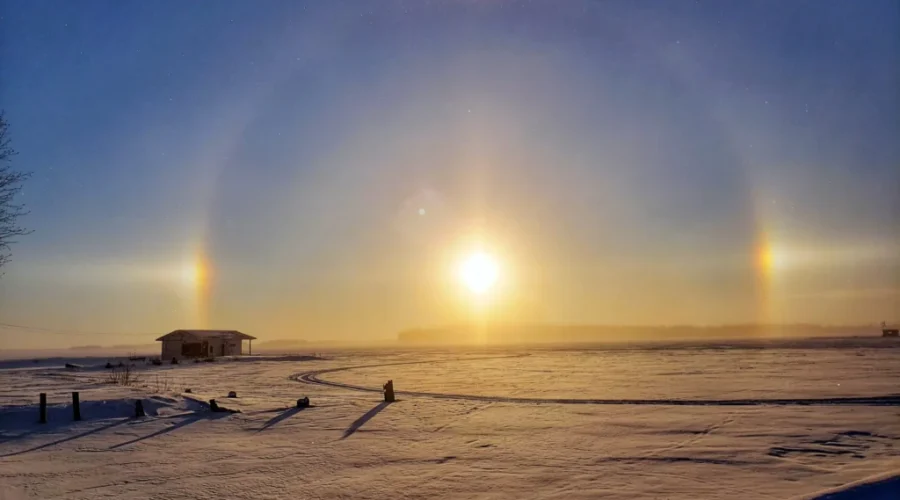 Sun Dog