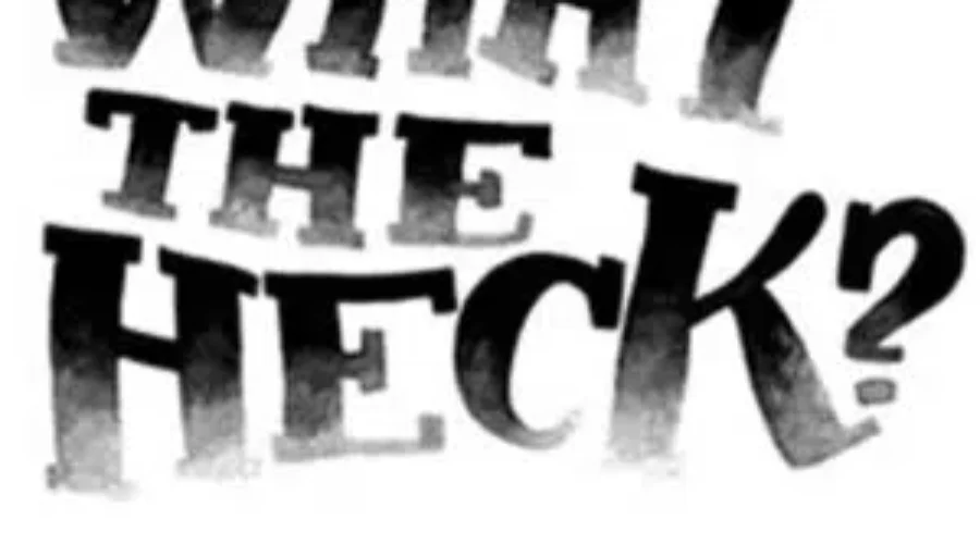 what-the A Sinking Feeling That She’s…..Right?