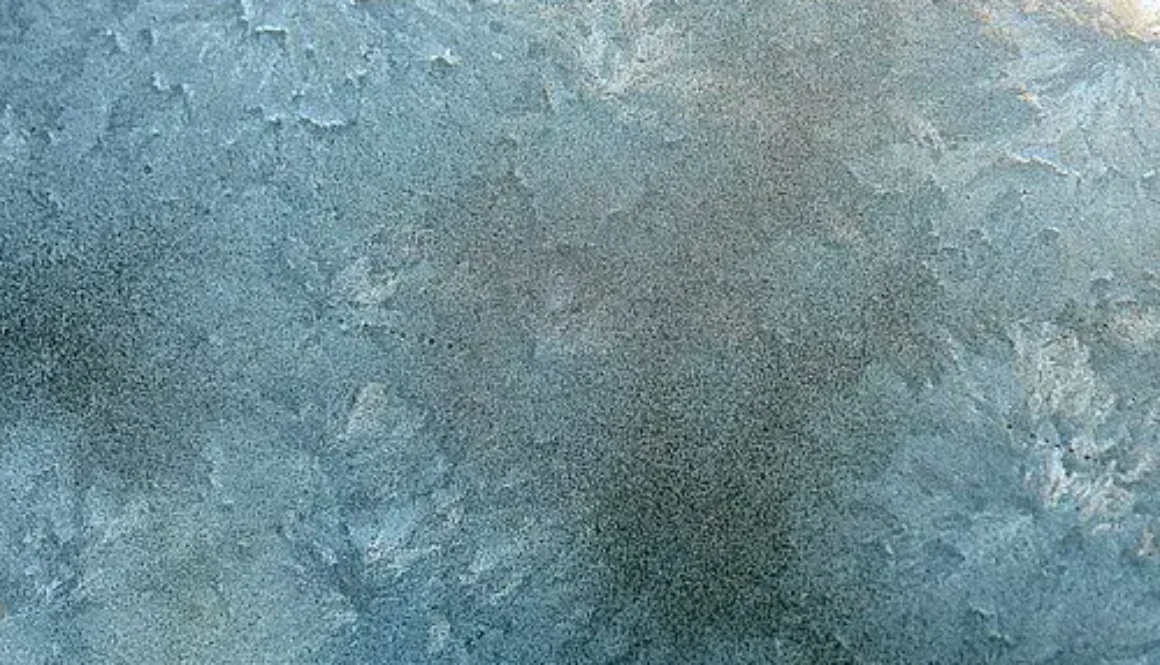 38781767802_87be91af21