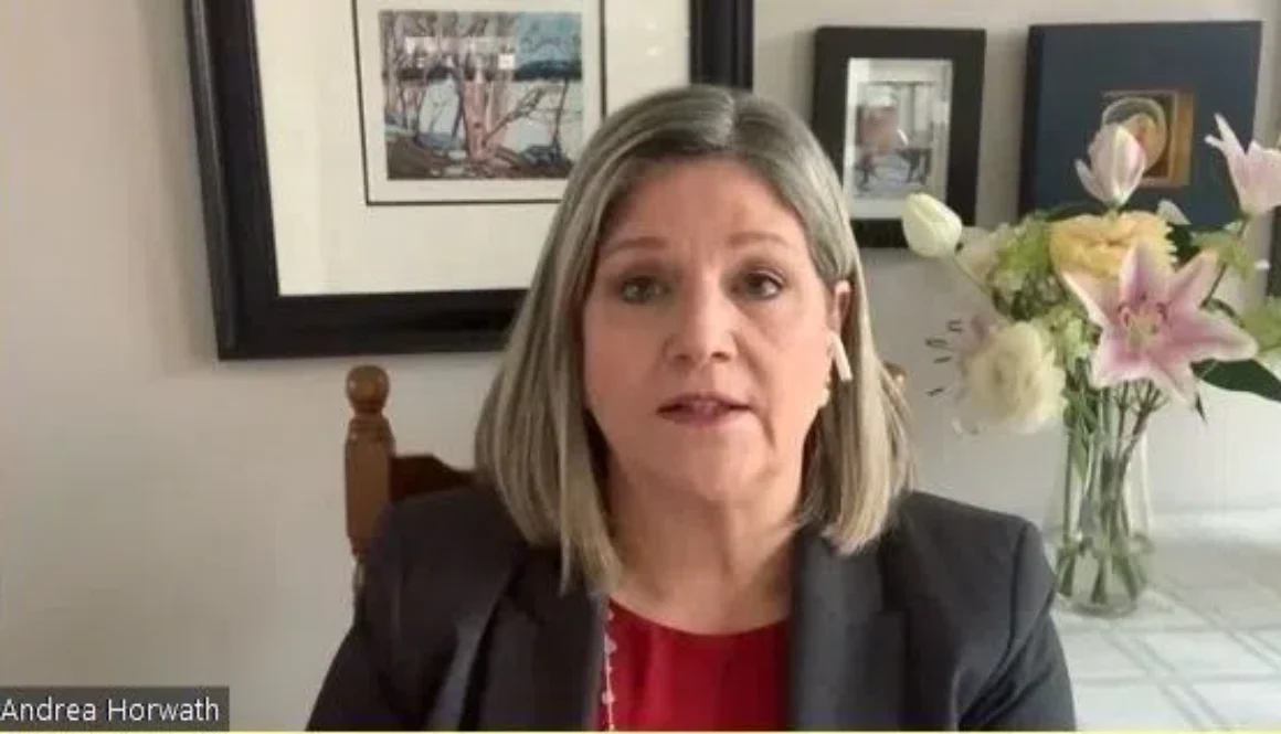 andrea-horwath-zoom-feb5-e1612706979226