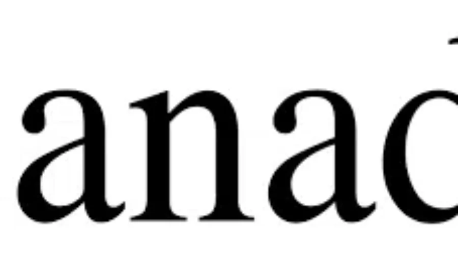 Hefty Air Travel Fine For Two Canadians