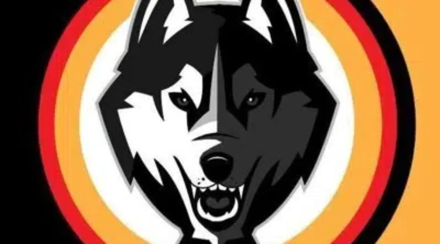 Ice Dogs In Running For Nations Best Jersey