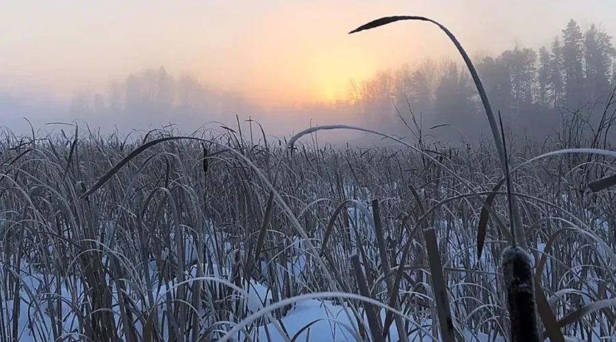 Red Lake Ice Fog