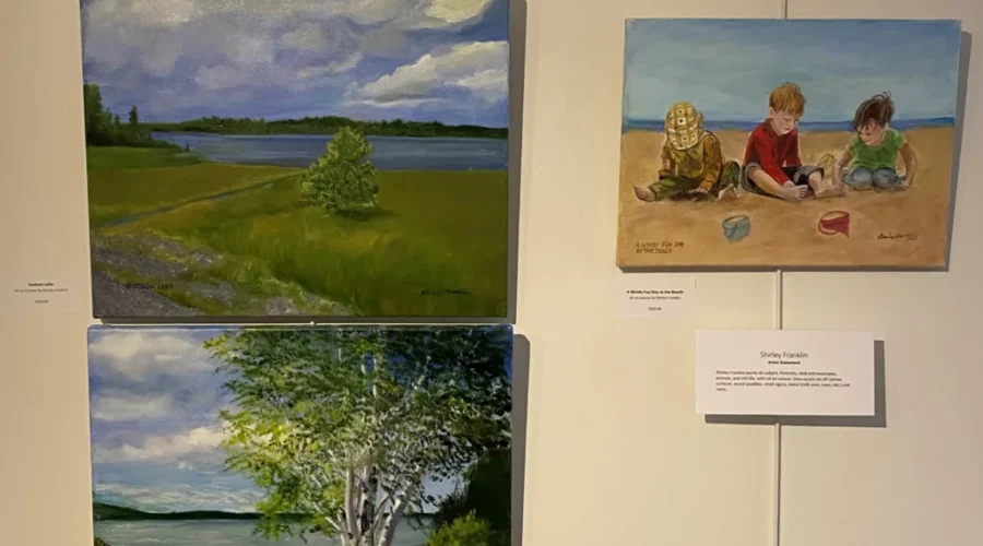 Dryden Artists’ Association Show Cased At Museum