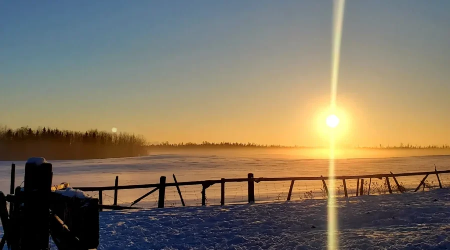 Waldhof Sunrise