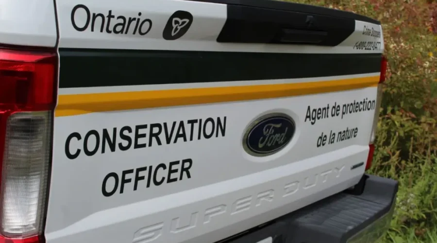 Two Area Moose Hunters Receive Big Fines
