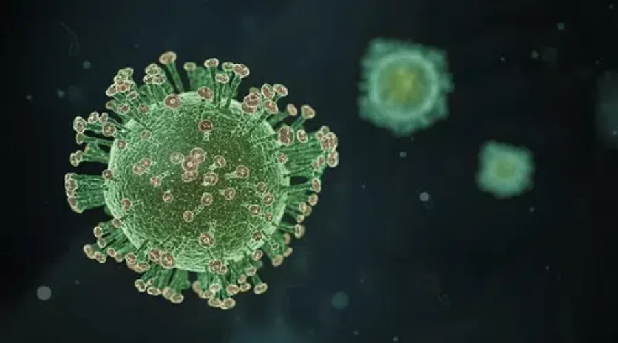 49679288857_200a679135 Six New Cases Announced By NWHU