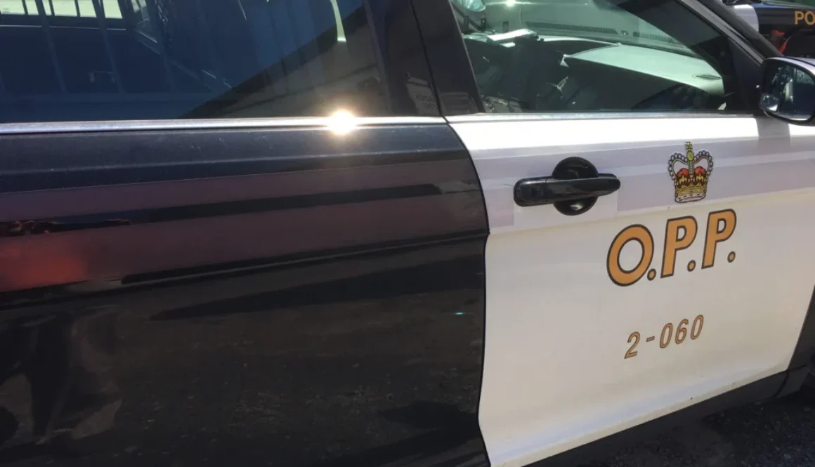 OPP-cruiser-logo