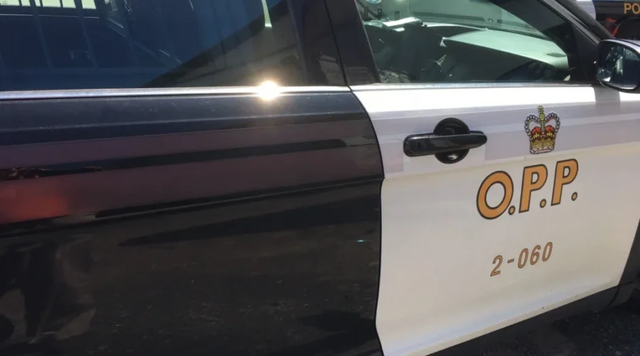 OPP-cruiser-logo Driver Clocked At Over 170kms On Highway 17