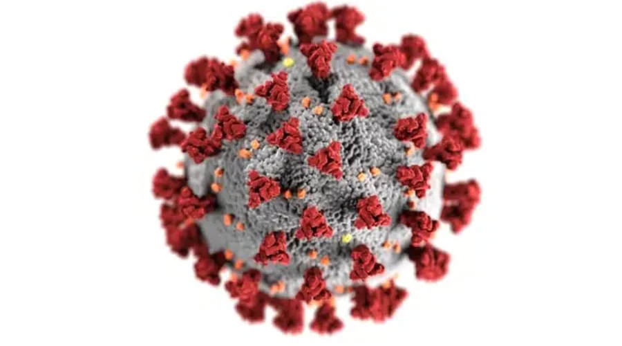covid-virus-image Two COVID-19 Diagnoses At Resolute FP