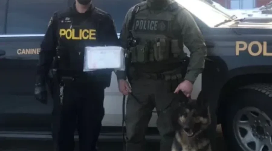 drugbust-1 K-9 Unit Used For Kenora Area Drug Seizure