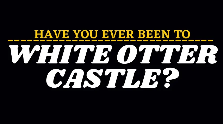 A Castle In The Wild