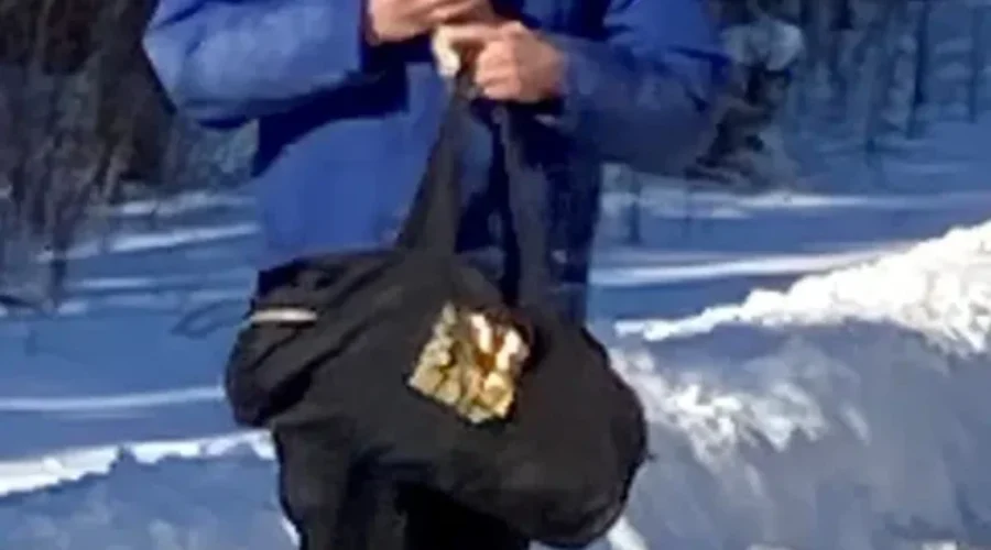 *FOUND* Search Continues For Missing Man In Pickle Lake Area