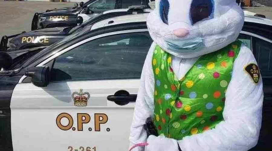 Easter Bunny Visiting Machin/Wabigoon Area Saturday