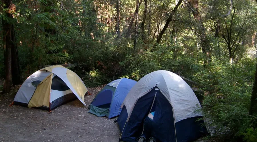 1188958895_49b0e04420_b-1 Reminder Camping Not Allowed On Public Land