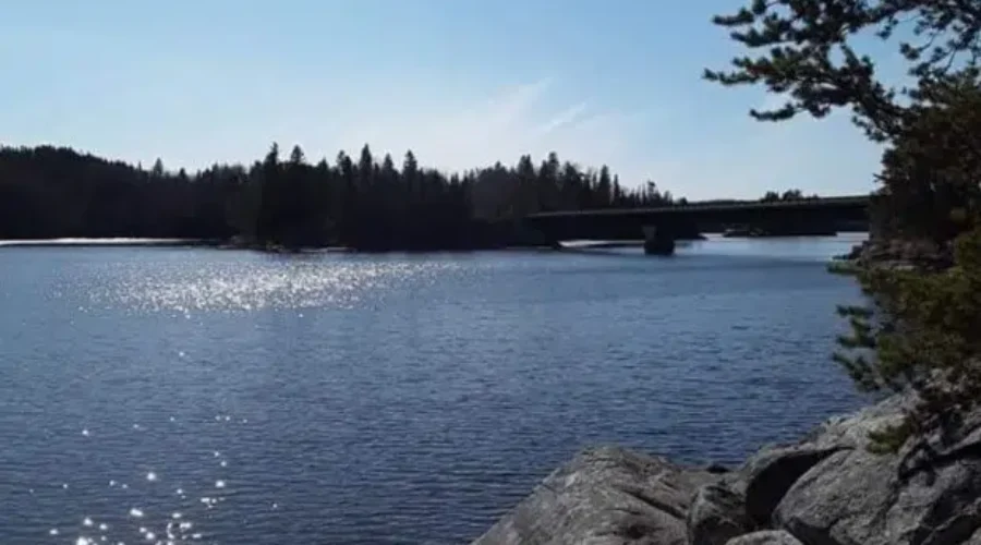 Bear Narrows On Eagle Lake
