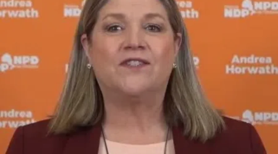 NDP Leader Calls For Action To Support The North