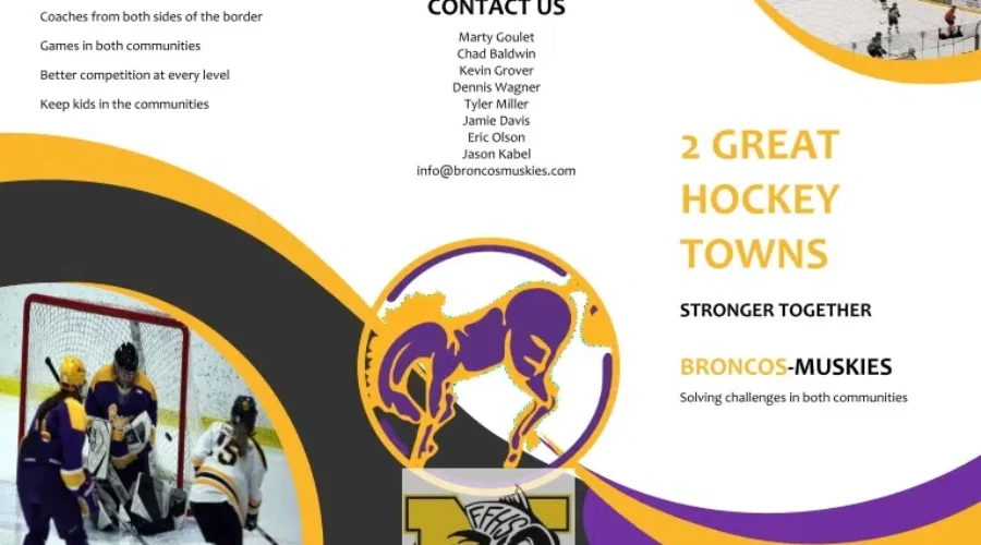 hs-hockey-program High School Hockey Merger Floated
