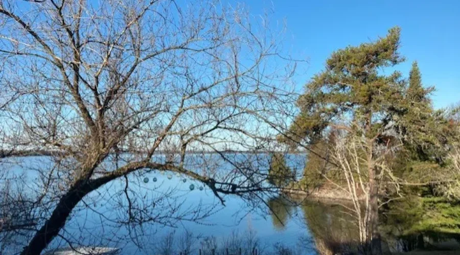 Peaceful Morning On Wabigoon Lake