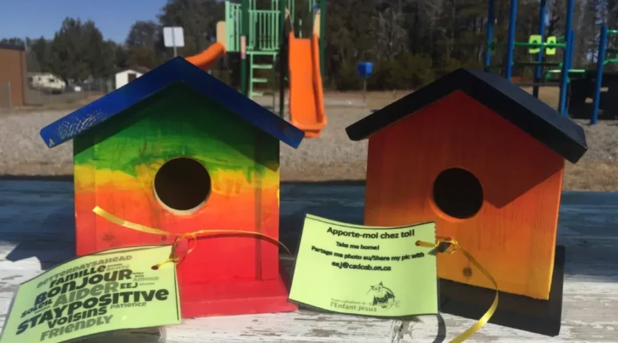 Birdhouse Initiative In Dryden Brings Joy To Community