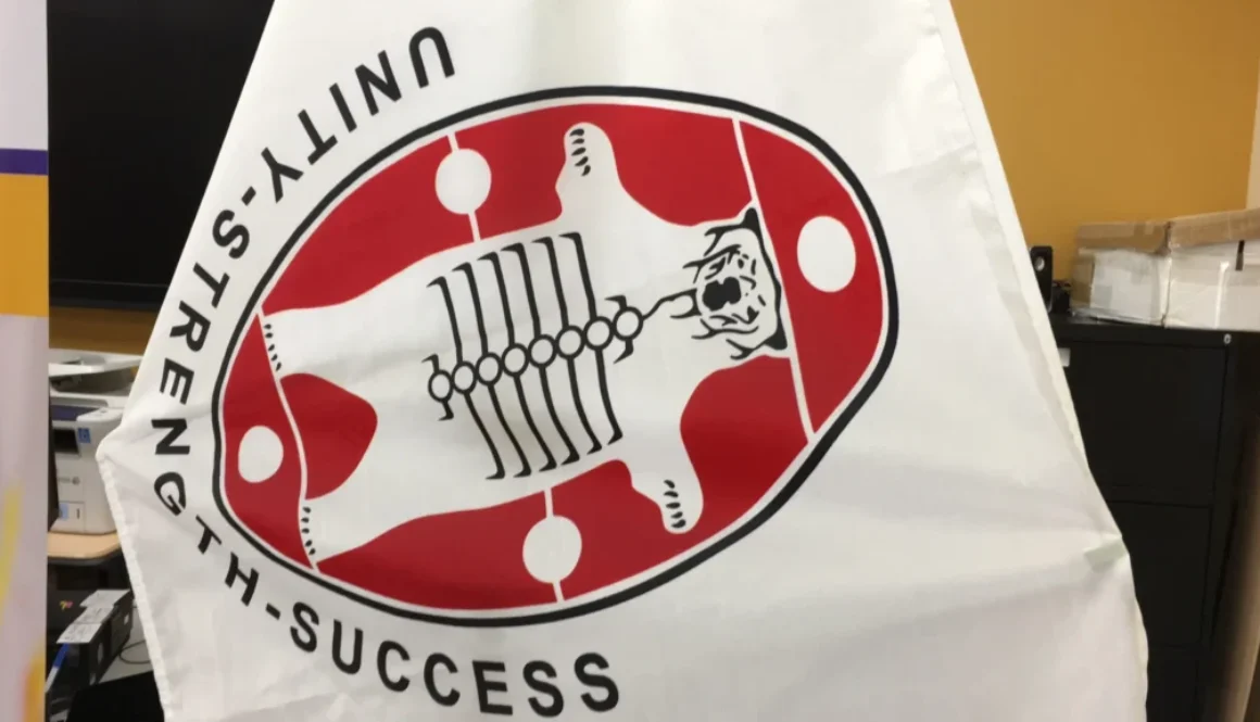 NAN-logo-flag