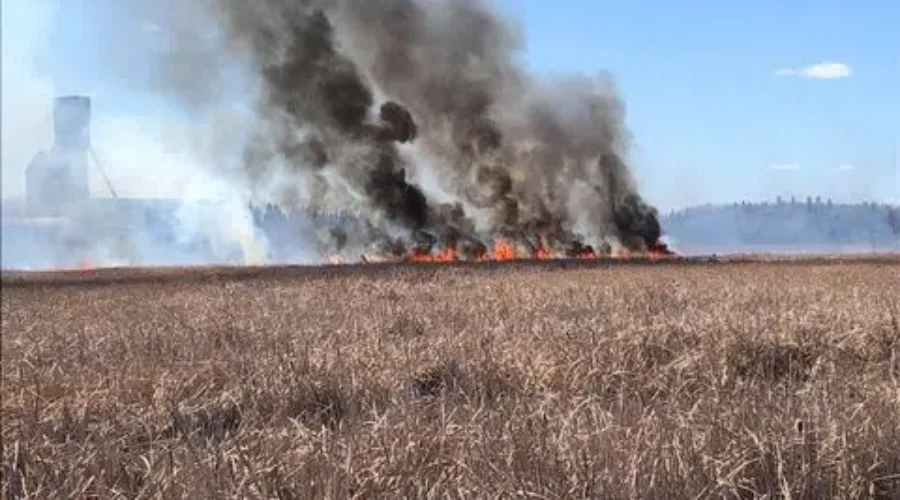 Grass Fire In Balmertown