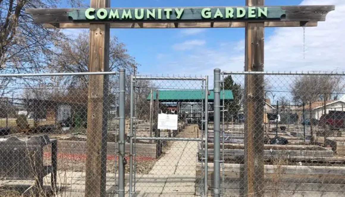 garden