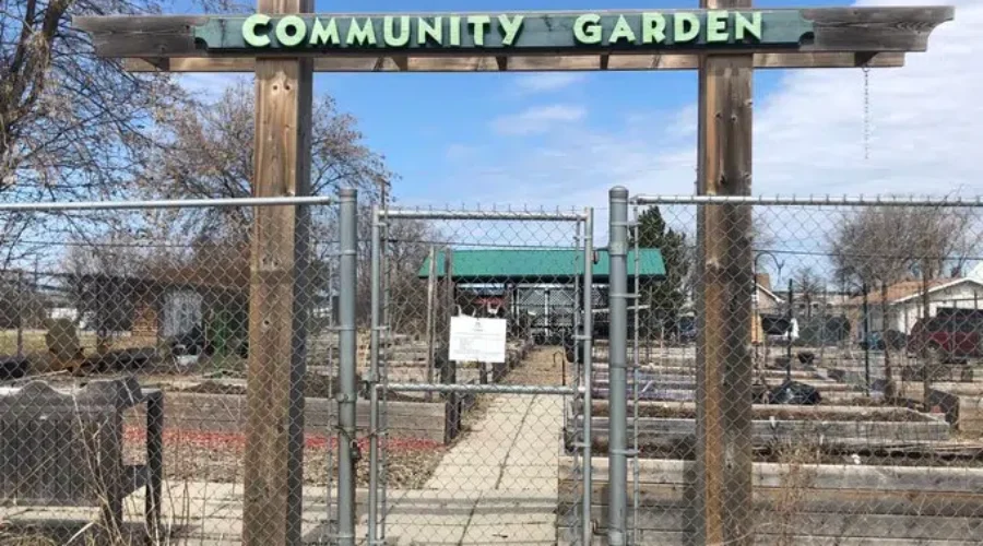 garden Plans Underway To Open Community Gardens
