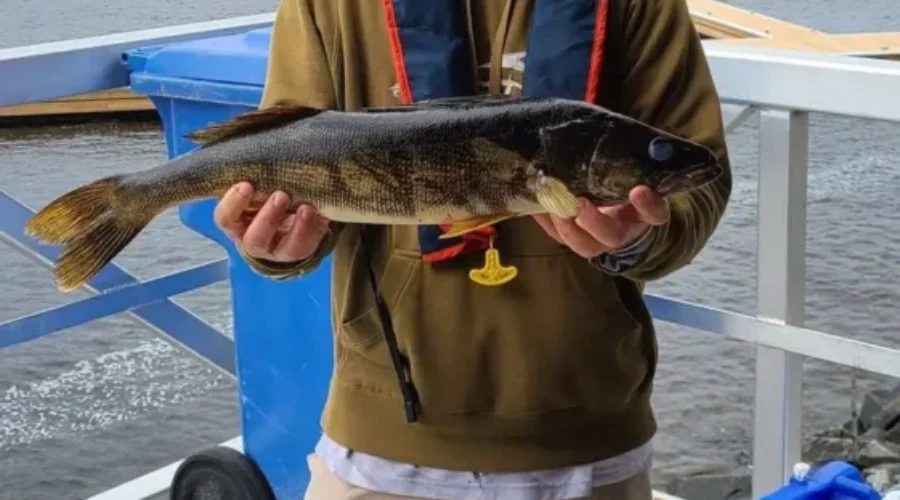 jmacfish-1 MacDonald Brothers Win Sioux Lookout Walleye Weekend