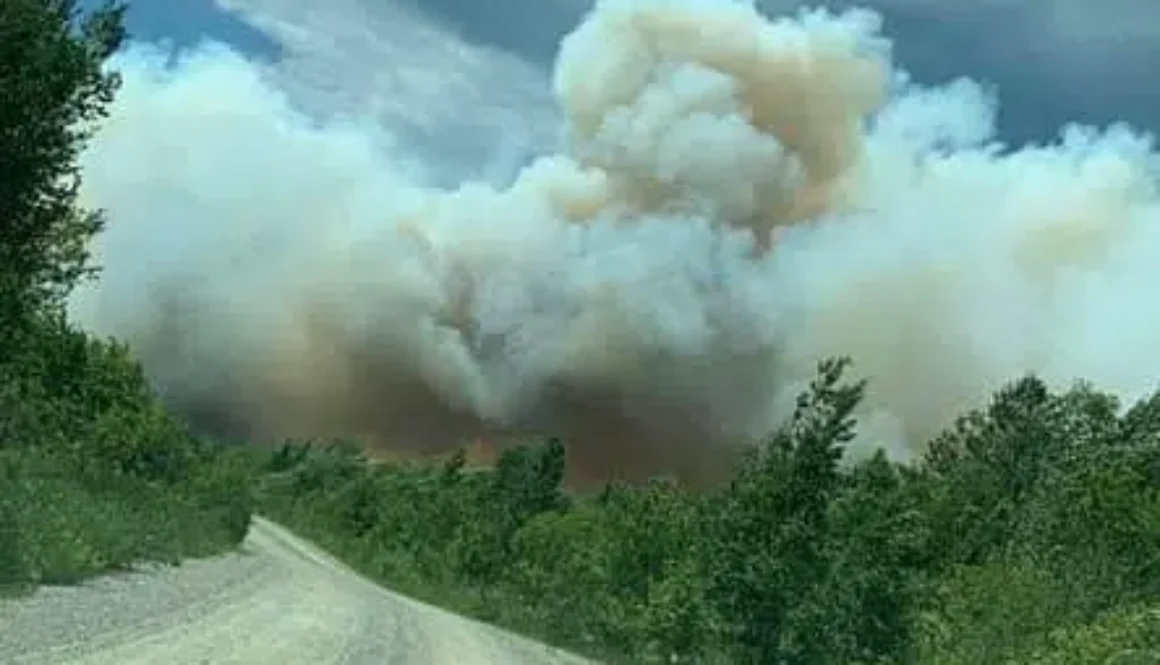 northwest-bay-forest-fire-cassidy-smith-photo-2