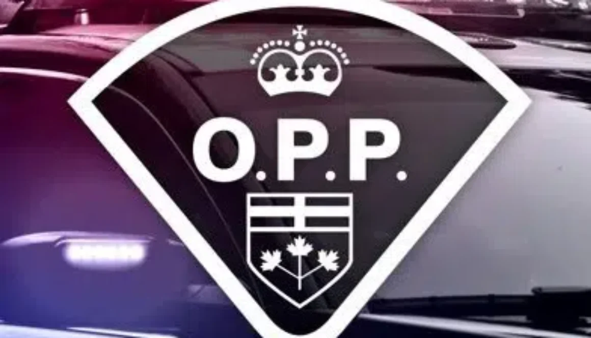 oppimage2020