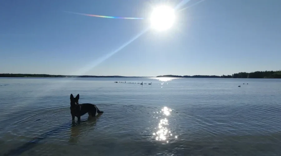 Wabigoon Lake