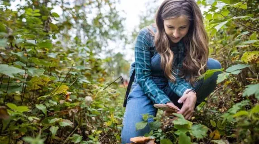citizensciencebybrentcalverheader-1 Big Backyard BioBlitz Returns This Weekend