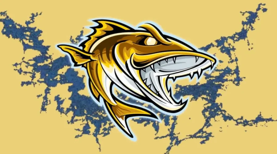 Monster Sunday Gives The Jensson’s Walleye Cup Win