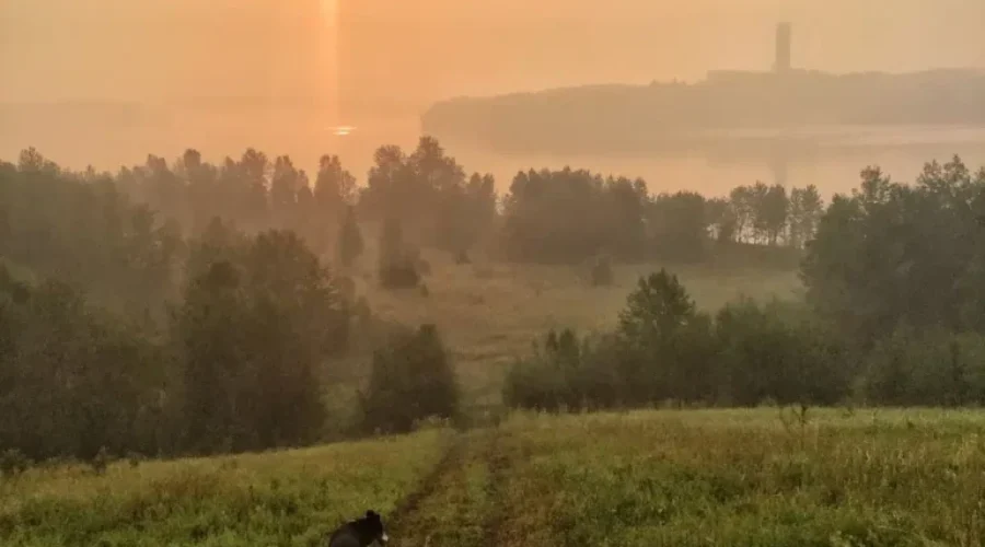 Smoky Morning Walk